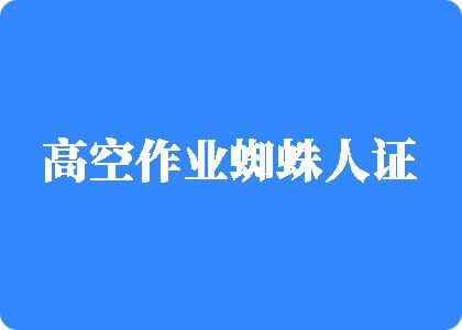 骚货被强行插入免费高空作业蜘蛛人证